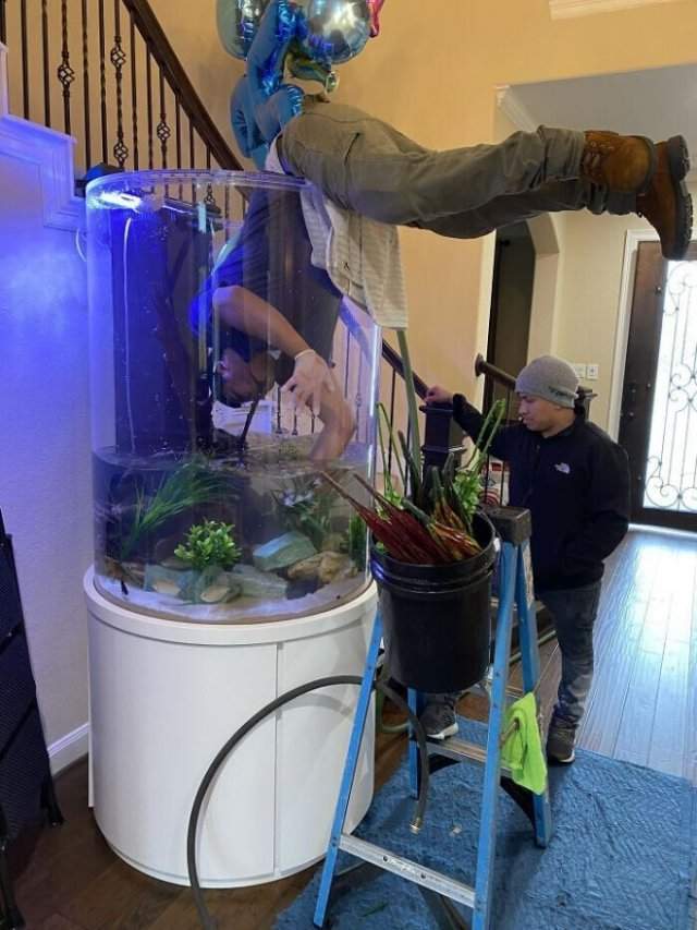 They Don't Think About Safety (15 pics)