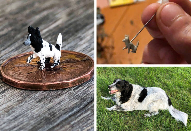 Unusual Creative (16 pics)