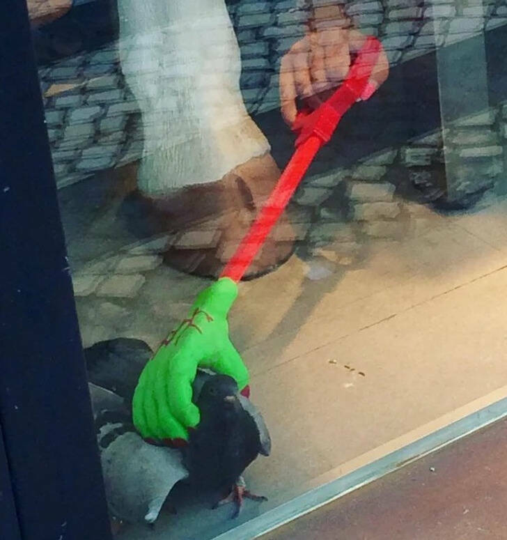 Unusual Creative (16 pics)