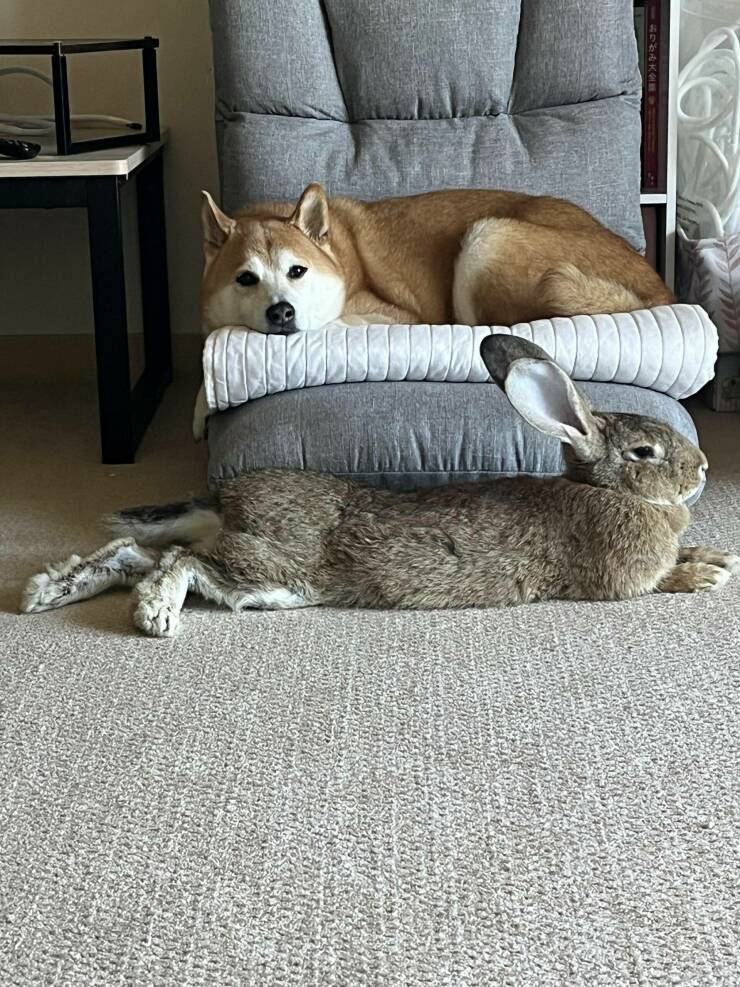 Daily Pictures. Part 1 (57 pics)