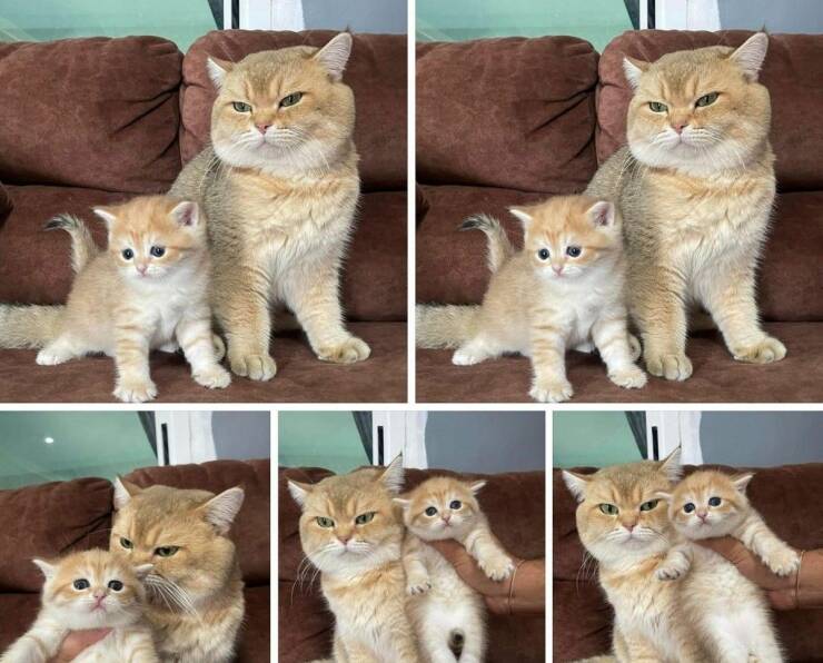Daily Pictures. Part 1 (57 pics)