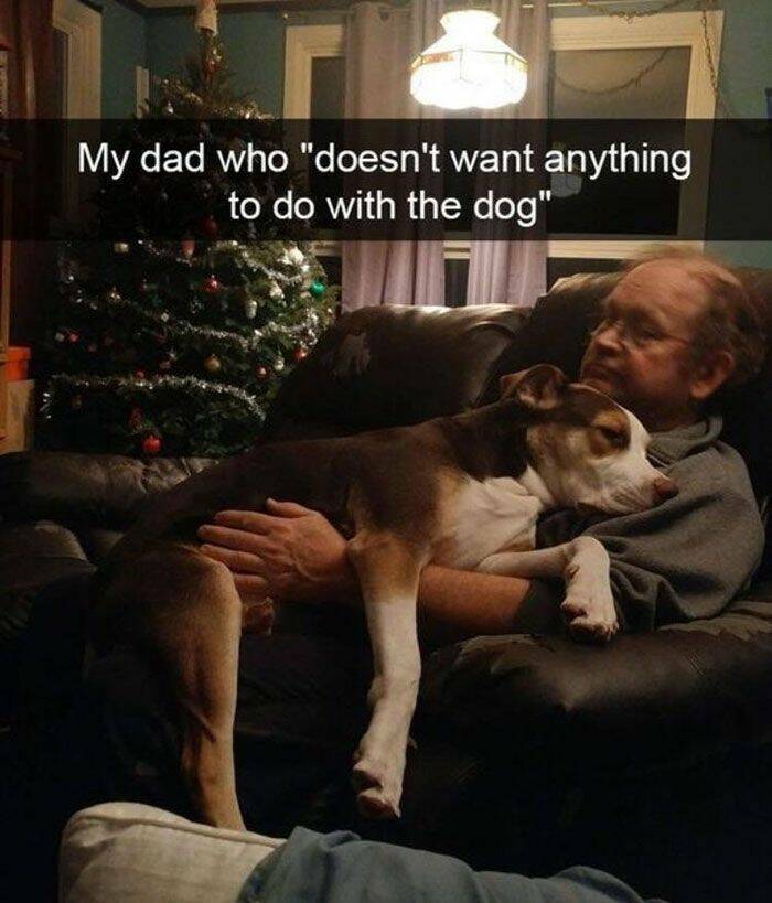 Daily Pictures. Part 1 (57 pics)