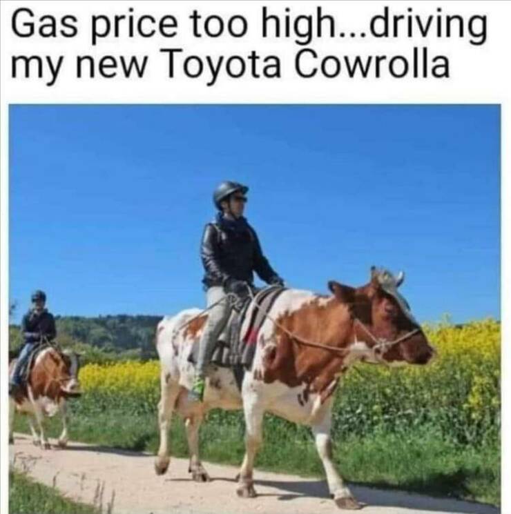 Daily Pictures. Part 2 (56 pics)