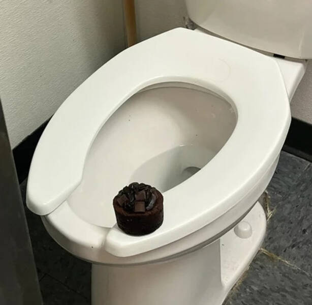 Funny Finds And Situations (24 pics)