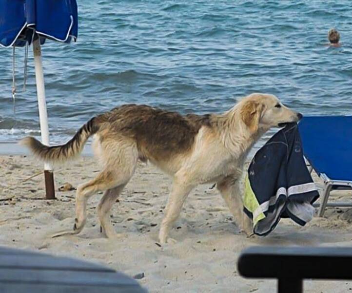 Funny Finds And Situations (24 pics)