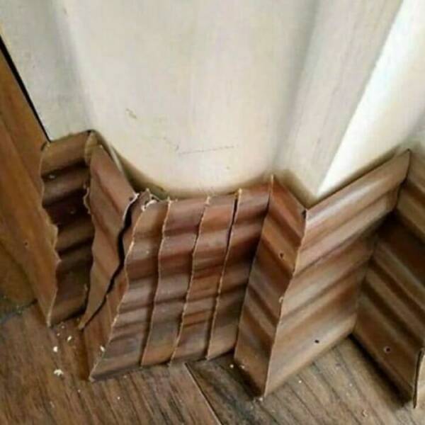 Odd Interiors (21 pics)