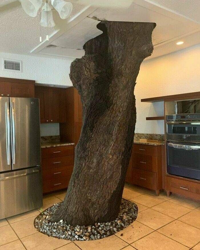 Odd Interiors (21 pics)