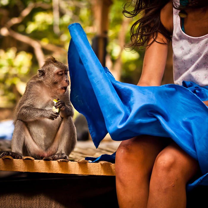 Right Moment (18 pics)