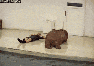Acid GIFs, August 11 (25 gifs)