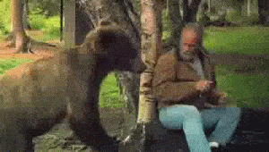 Acid GIFs, August 11 (25 gifs)
