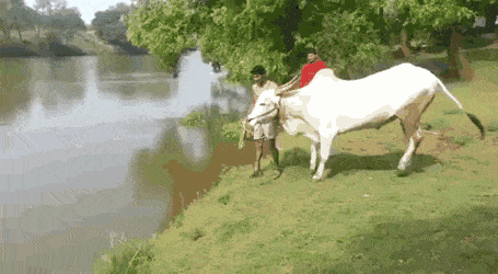 Acid GIFs, August 11 (25 gifs)