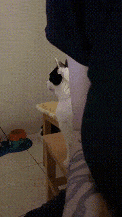 Acid GIFs, August 11 (25 gifs)