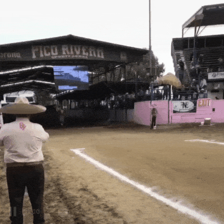 Acid GIFs, August 11 (25 gifs)
