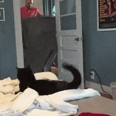 Acid GIFs, August 11 (25 gifs)