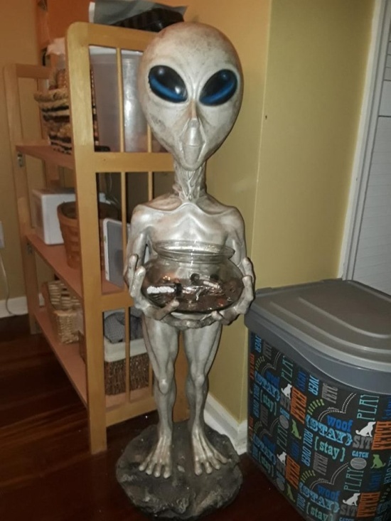 Odd Finds In Thrift Shops (15 pics)