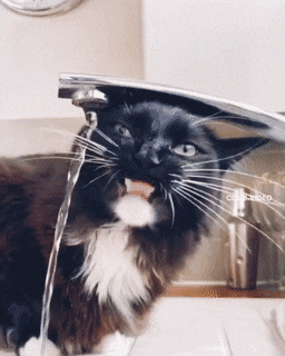Acid GIFs, August 12 (25 gifs)