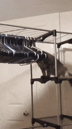 Acid GIFs, August 12 (25 gifs)