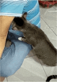 Acid GIFs, August 12 (25 gifs)