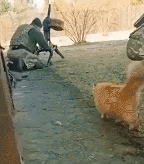 Acid GIFs, August 12 (25 gifs)