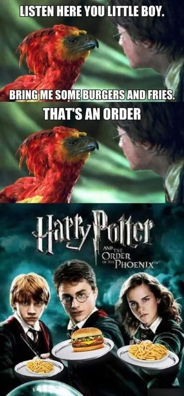 Memes About ''Harry Potter'' Movies (19 pics)