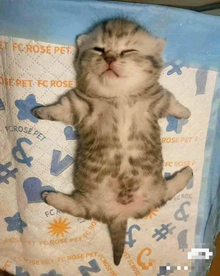 Daily Pictures. Part 2 (59 pics)