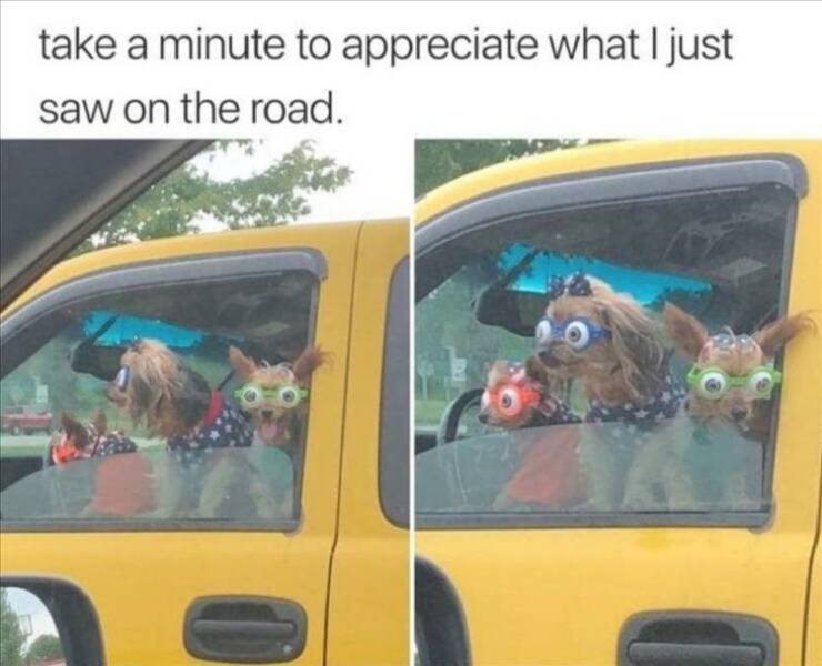 Daily Pictures. Part 2 (59 pics)