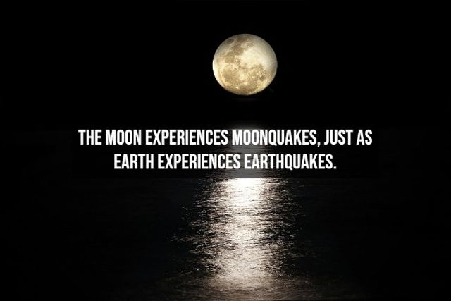 Interesting Facts About Earth (15 pics)