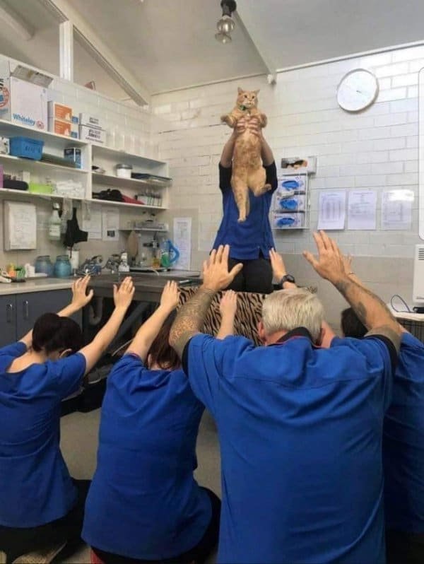 What Is Going On Here? (15 pics)