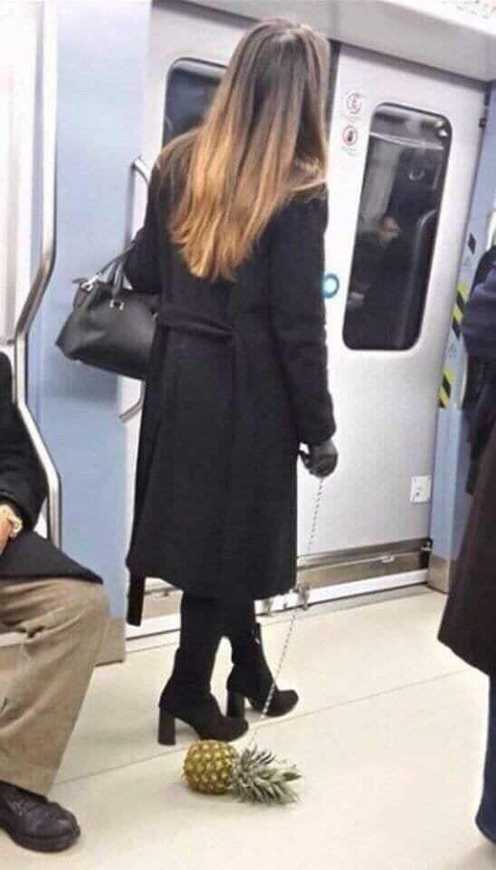 What Is Going On Here? (15 pics)