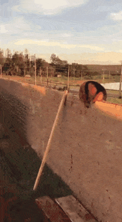 Acid GIFs, August 17 (25 gifs)