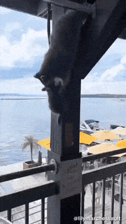 Acid GIFs, August 17 (25 gifs)