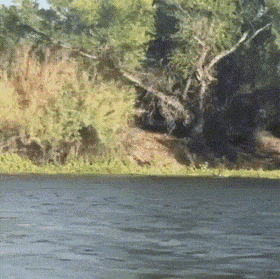 Acid GIFs, August 17 (25 gifs)