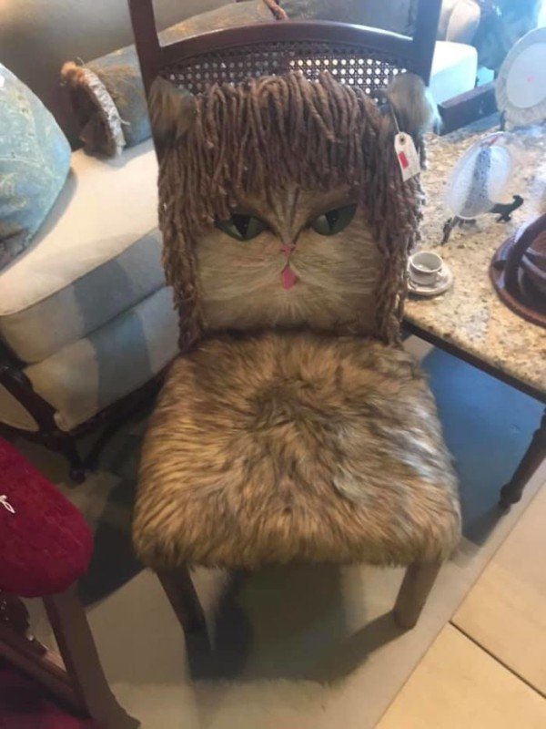 Finds In Thrift Shops (21 pics)