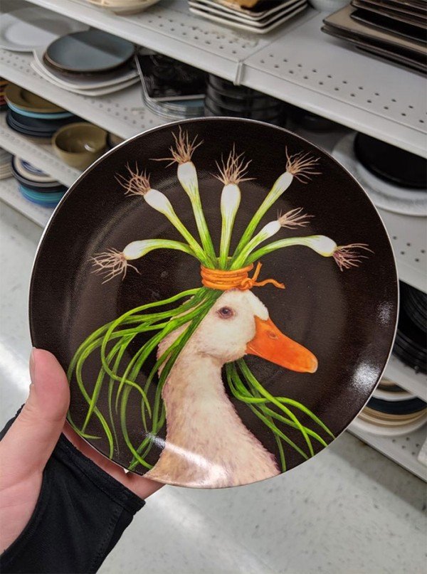 Finds In Thrift Shops (21 pics)