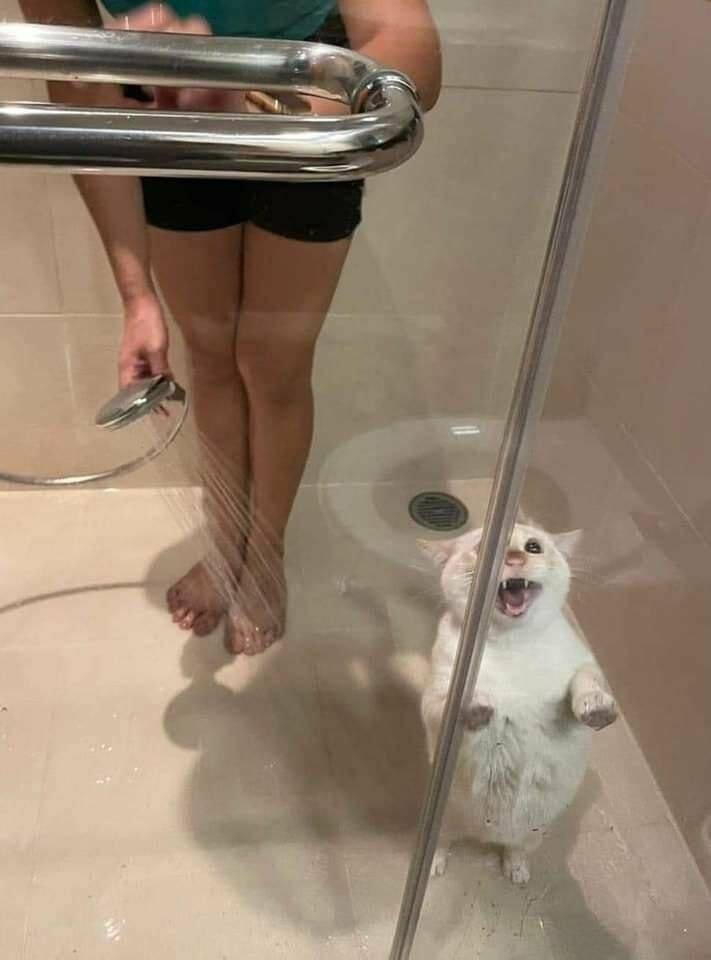 Daily Pictures. Part 1 (66 pics)