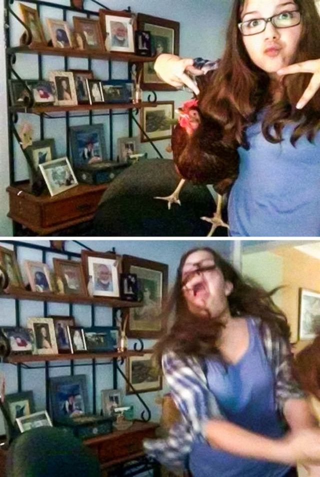 Daily Pictures. Part 1 (66 pics)