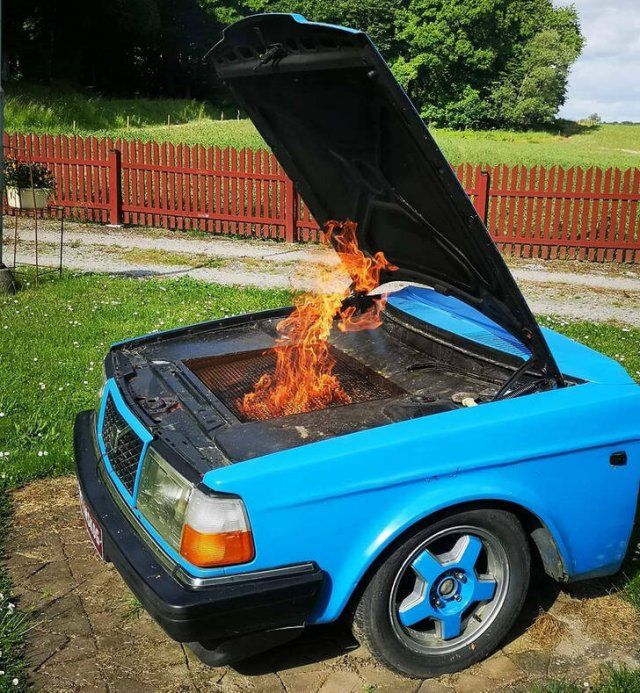Unusual Finds And Situations (20 pics)