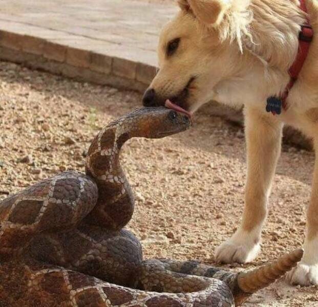 Odd Situations (15 pics)