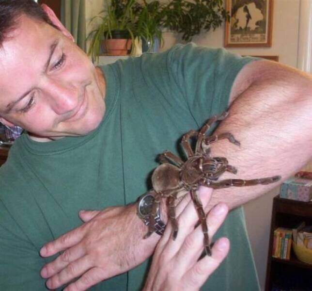 Odd Situations (15 pics)