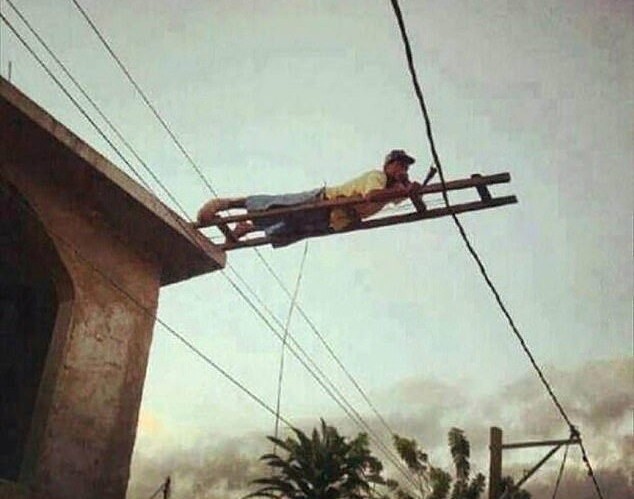 They Don't Think About Safety (15 pics)
