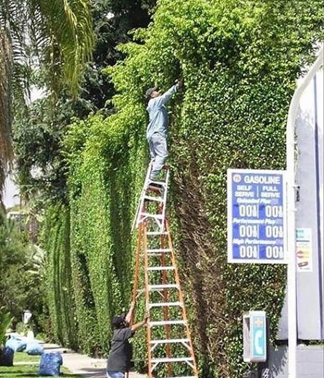 They Don't Think About Safety (15 pics)