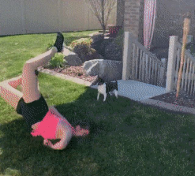 Acid GIFs, August 19 (25 gifs)