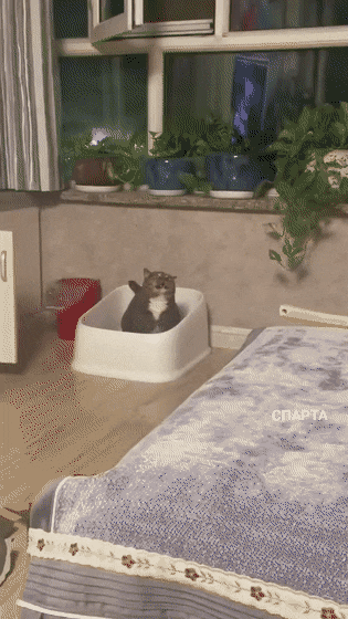 Acid GIFs, August 19 (25 gifs)