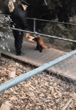 Acid GIFs, August 19 (25 gifs)