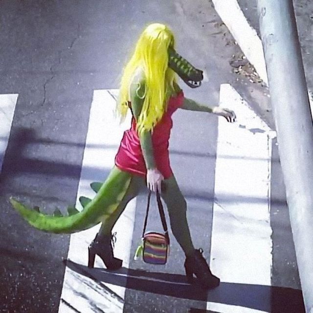 What Is Going On Here? (30 pics)