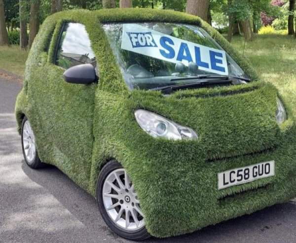 Crazy Cars (15 pics)
