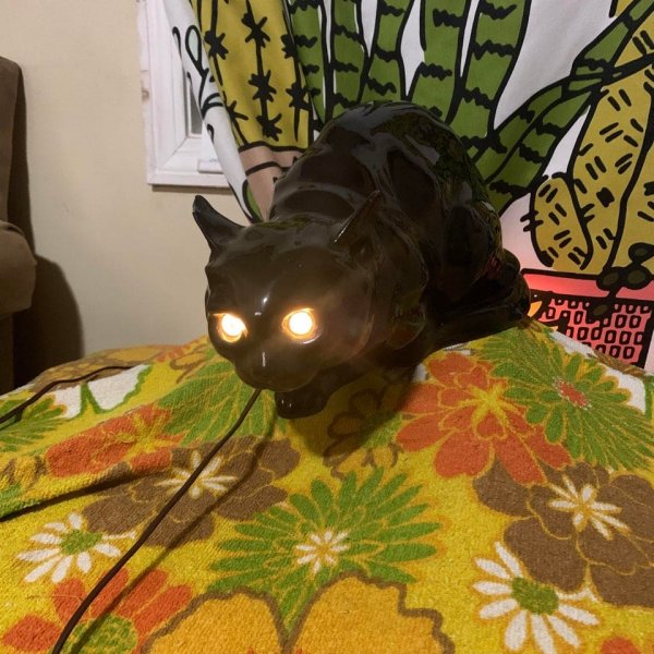 Interesting Finds In Thrift Shops (18 pics)