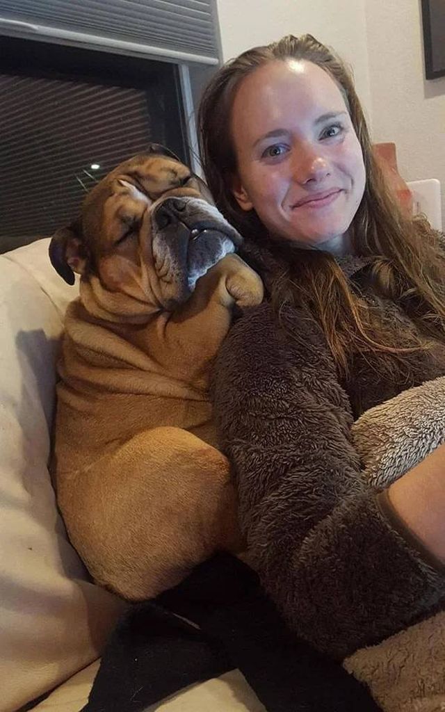 Cute Dogs (45 pics)