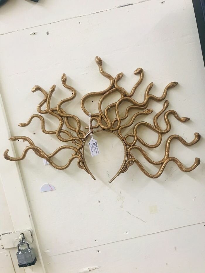 Strange Finds In Thrift Shops (15 pics)