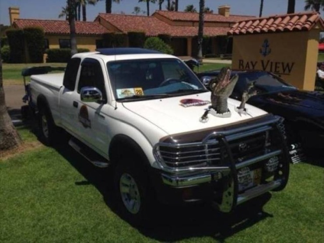 Crazy Cars (20 pics)